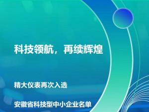科技領(lǐng)航，再續(xù)輝煌！——合肥精大儀表股份有限公司再次入選安